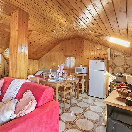 La Mansarda Sul Lago: Rustic Attic With Balcony & Parking - Happy
